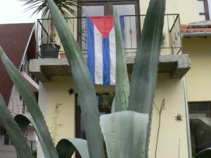 Casa Havana Costinesti