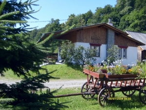 Vila Oprea Sovata